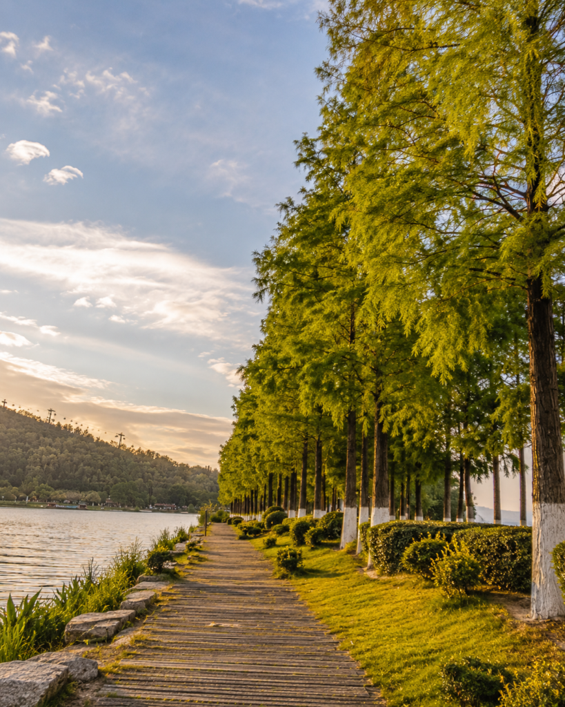 Main Attractions at Wuhan East Lake Scenic Area
en chine