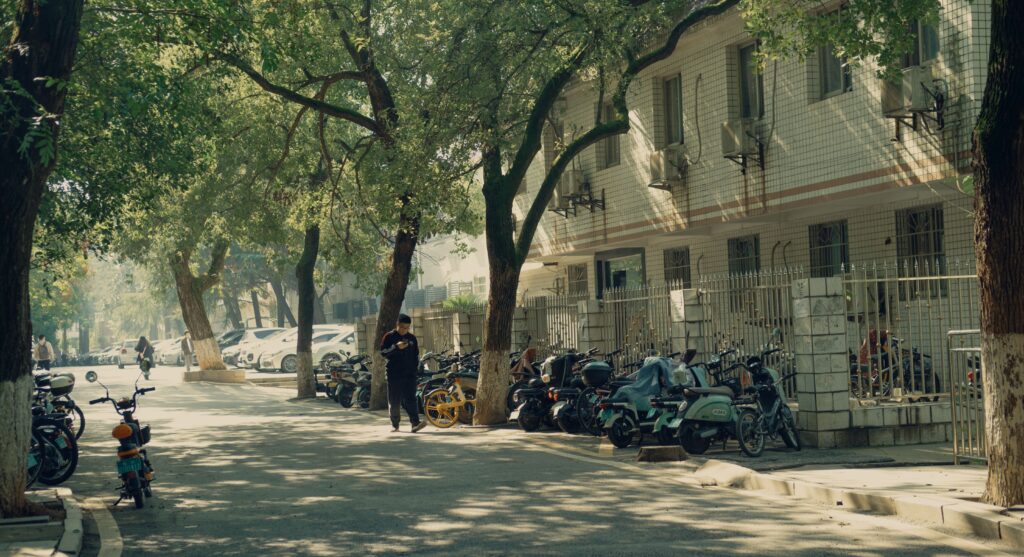 Wuhan rue calme bordée d'arbre en Chine