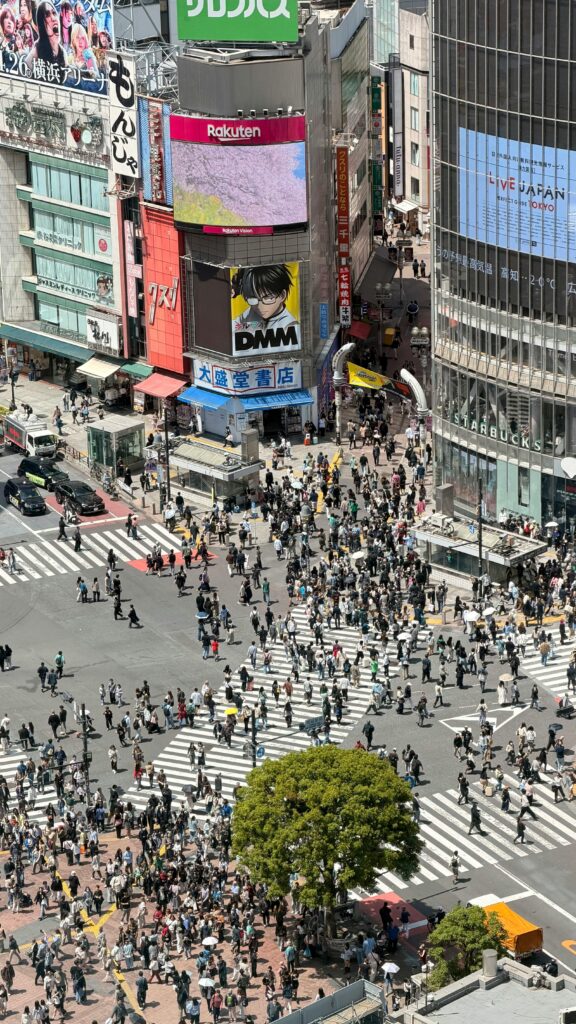 Visiter le Japon en 2 semaines : itinéraire de 15 jours entre Tokyo, Kyoto et Osaka shibuya crossing tokyo