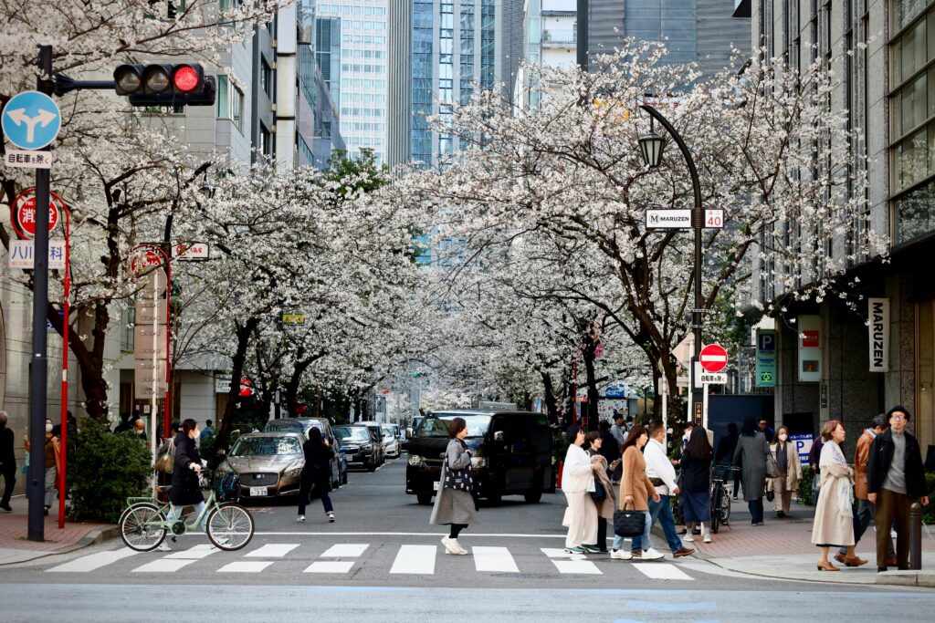 Visiter le Japon en 2 semaines : itinéraire de 15 jours entre Tokyo, Kyoto et Osaka Shinjuku : le quartier le plus pratique pour un premier voyage au Japon