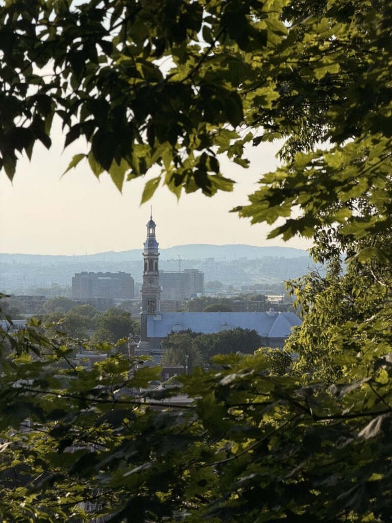 Rue pavée et bâtiments historiques dans le Vieux-Québec au Canada