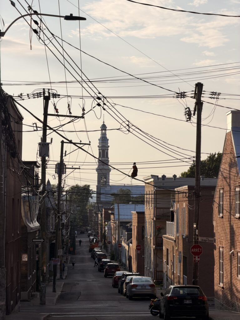 Rue pavée et bâtiments historiques dans le Vieux-Québec au Canada