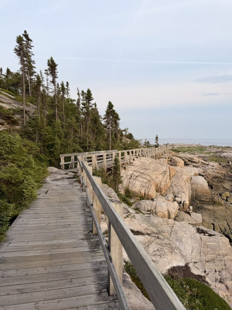 Vue sur le fleuve Saint-Laurent depuis la Pointe-de-l’Islet à Tadoussac